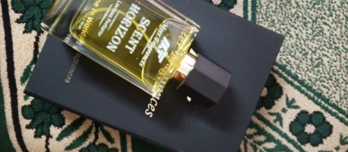 Scent Horizon Inspired By Dior Sauvage Perfume Of Meer Fragrances photo review